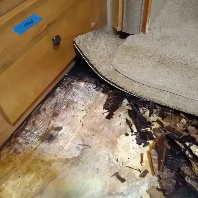 Wood Floor Water Damage in Lake Wales, FL